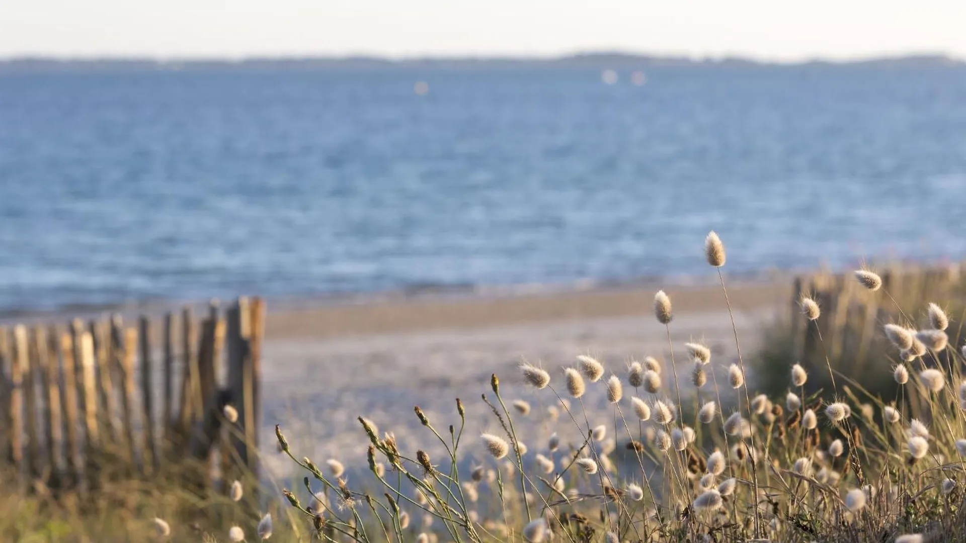 Apartment Otello 4 - L'Ibis Sacre By Interhome Carnac
